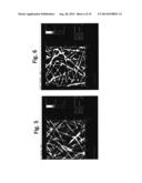 FUSED METAL NANOSTRUCTURED NETWORKS, FUSING SOLUTIONS WITH REDUCING AGENTS     AND METHODS FOR FORMING METAL NETWORKS diagram and image