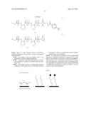 IMMOBILIZATION OF ANTIMICROBIAL POLYMERS ON RO MEMBRANE TO REDUCE BIOFILM     GROWTH AND BIOFOULING diagram and image