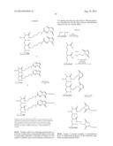 IMMOBILIZATION OF ANTIMICROBIAL POLYMERS ON RO MEMBRANE TO REDUCE BIOFILM     GROWTH AND BIOFOULING diagram and image