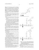 IMMOBILIZATION OF ANTIMICROBIAL POLYMERS ON RO MEMBRANE TO REDUCE BIOFILM     GROWTH AND BIOFOULING diagram and image