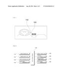 VEHICLE AUXILIARY HORN APPARATUS diagram and image