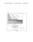 COMPUTER-AIDED SYSTEM FOR 360.degree. HEADS UP DISPLAY OF SAFETY/MISSION     CRITICAL DATA diagram and image