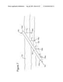 MARINE SEISMIC APPARATUS WITH MARINE GROWTH RETARDANT AND METHODS THEREFOR diagram and image