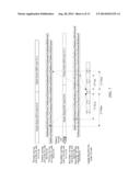 Method For Activating Multiple Streams Transmission UE To Transmit     HS-DPCCH And UE Thereof diagram and image