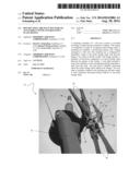 ROTARY WING AIRCRAFT PITCH BEAM ATTACHMENT WITH ANTI-ROTATION PLATE DESIGN diagram and image