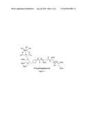 Chelated PSMA Inhibitors diagram and image