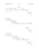 Chelated PSMA Inhibitors diagram and image