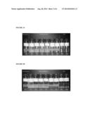 NON-AQUEOUS SOLID STABILIZED EMULSIONS diagram and image