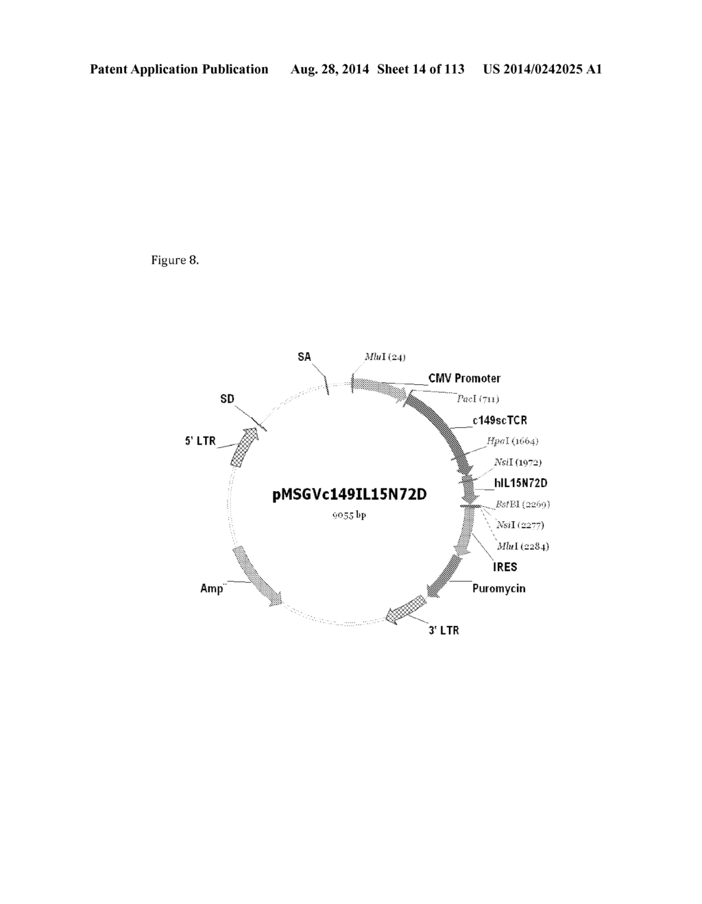 MULTIMERIC IL-15 SOLUBLE FUSION MOLECULES AND METHODS OF MAKING AND USING     SAME - diagram, schematic, and image 15