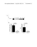 APC-MEDIATED TOLERANCE INDUCTION FOR THERAPY OF MULTIPLE SCLEROSIS diagram and image