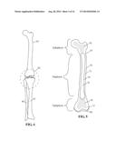 Devices and methods for treating defects in the tissue of a living being diagram and image