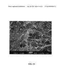 Devices and methods for treating defects in the tissue of a living being diagram and image