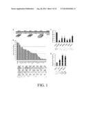 INHIBITION AND ENHANCEMENT OF REPROGRAMMING BY CHROMATIN MODIFYING ENZYMES diagram and image