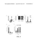 INHIBITION AND ENHANCEMENT OF REPROGRAMMING BY CHROMATIN MODIFYING ENZYMES diagram and image