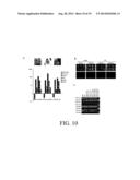 INHIBITION AND ENHANCEMENT OF REPROGRAMMING BY CHROMATIN MODIFYING ENZYMES diagram and image