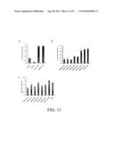 INHIBITION AND ENHANCEMENT OF REPROGRAMMING BY CHROMATIN MODIFYING ENZYMES diagram and image