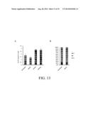 INHIBITION AND ENHANCEMENT OF REPROGRAMMING BY CHROMATIN MODIFYING ENZYMES diagram and image