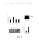 INHIBITION AND ENHANCEMENT OF REPROGRAMMING BY CHROMATIN MODIFYING ENZYMES diagram and image