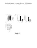 INHIBITION AND ENHANCEMENT OF REPROGRAMMING BY CHROMATIN MODIFYING ENZYMES diagram and image