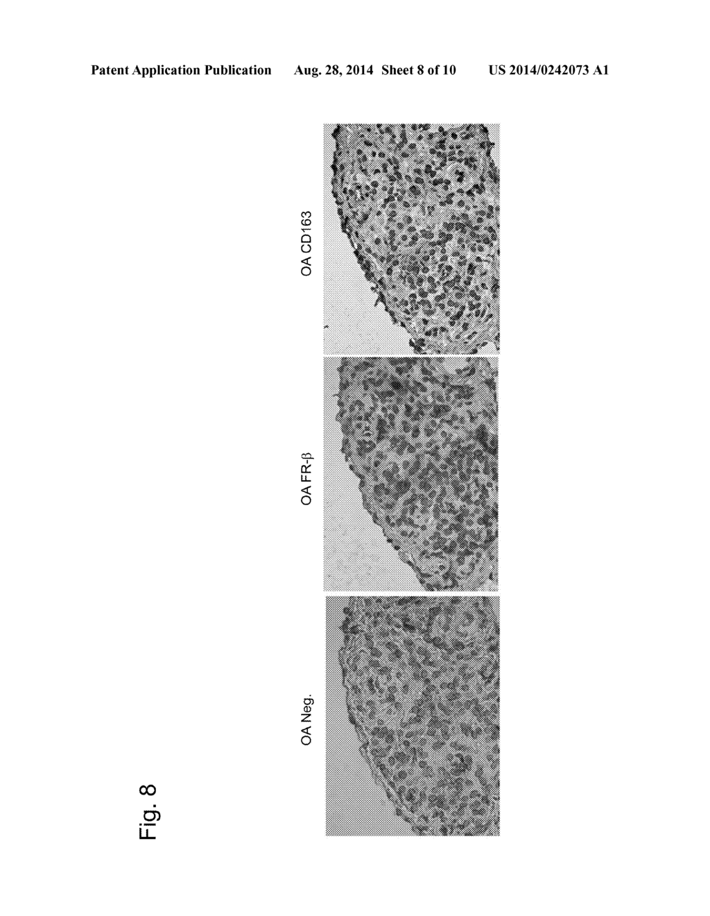 CARTILAGE/BONE DESTRUCTION SUPPRESSOR - diagram, schematic, and image 09