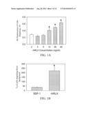 MATERIALS AND METHODS FOR MODULATING ACTIVITY OF BONE MARROW DERIVED CELLS diagram and image