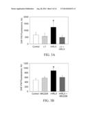 MATERIALS AND METHODS FOR MODULATING ACTIVITY OF BONE MARROW DERIVED CELLS diagram and image