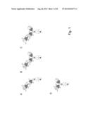 BISPECIFIC T CELL ACTIVATING ANTIGEN BINDING MOLECULES diagram and image