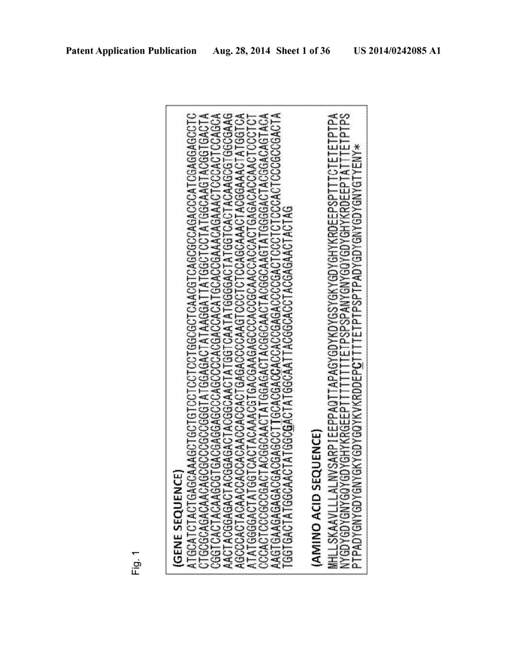 METHODS AND COMPOSITION FOR TESTING, PREVENTING, AND TREATING ASPERGILLUS     FUMIGATUS INFECTION - diagram, schematic, and image 02