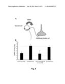 Modulation Of The VPS10p-Domain Receptor Family For The Treatment Of     Mental And Behavioural Disorders diagram and image