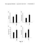 Modulation Of The VPS10p-Domain Receptor Family For The Treatment Of     Mental And Behavioural Disorders diagram and image