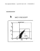 VHZ FOR DIAGNOSIS AND TREATMENT OF CANCER diagram and image