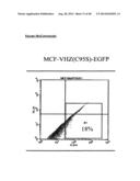 VHZ FOR DIAGNOSIS AND TREATMENT OF CANCER diagram and image