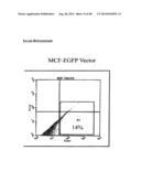 VHZ FOR DIAGNOSIS AND TREATMENT OF CANCER diagram and image