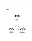 VHZ FOR DIAGNOSIS AND TREATMENT OF CANCER diagram and image