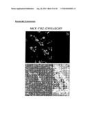 VHZ FOR DIAGNOSIS AND TREATMENT OF CANCER diagram and image