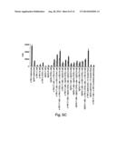 METHODS RELATED TO TIM 3, A TH1-SPECIFIC CELL SURFACE MOLECULE, FOR     ACTIVATING ANTIGEN PRESENTING CELLS diagram and image