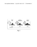 METHODS RELATED TO TIM 3, A TH1-SPECIFIC CELL SURFACE MOLECULE, FOR     ACTIVATING ANTIGEN PRESENTING CELLS diagram and image