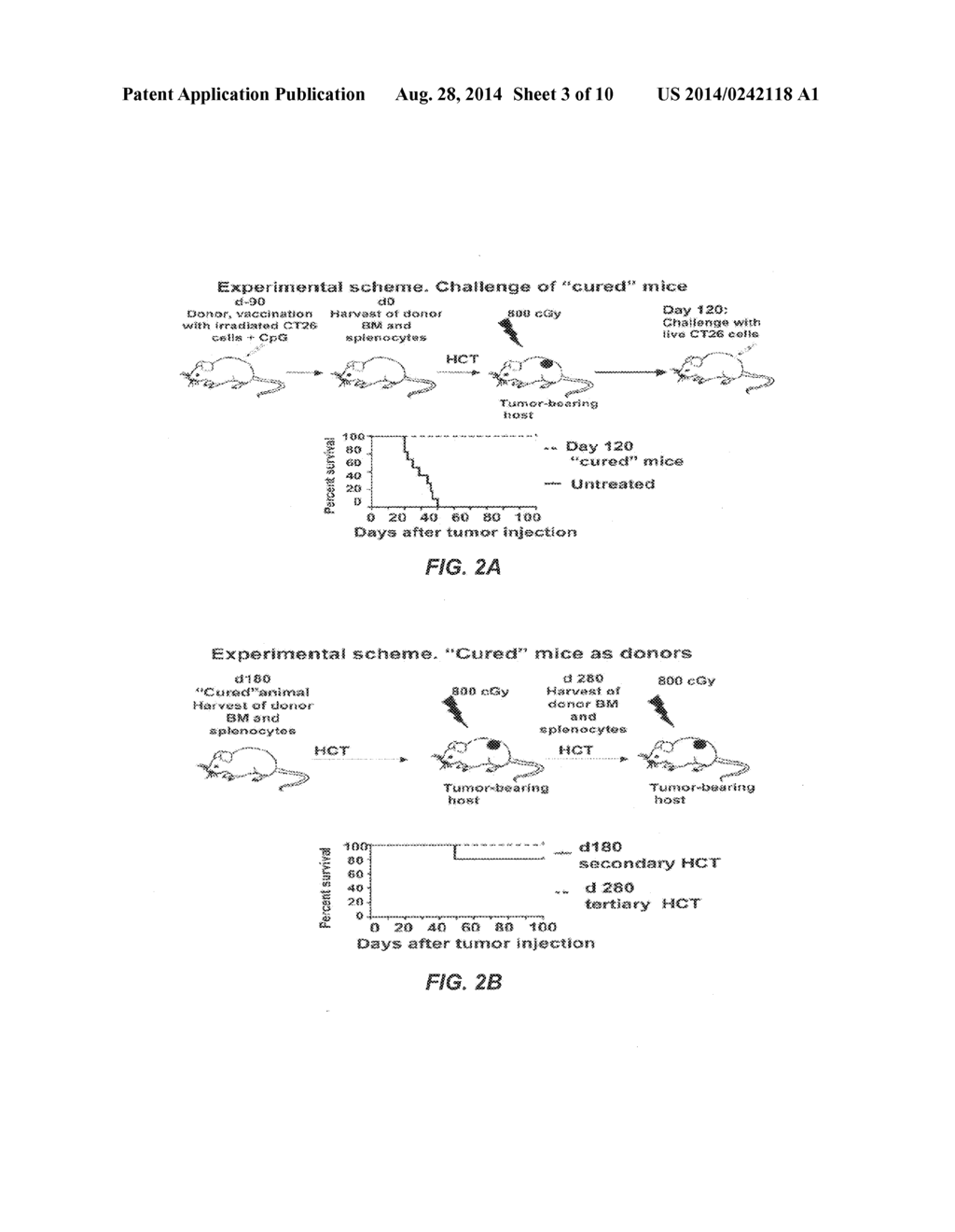 Tumor Vaccination in Combination with Hematopoietic Cell Transplantation     for Cancer Therapy - diagram, schematic, and image 04