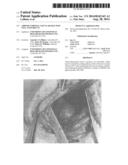 ADIPOSE STROMAL VASCULAR FRACTION CELL CONSTRUCTS diagram and image