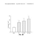 ADIPOSE STROMAL VASCULAR FRACTION CELL CONSTRUCTS diagram and image