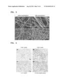 CHITOSAN NANOFIBER FOR ANIONIC PROTEIN DRUG DELIVERY, METHOD OF PREPARING     THE SAME, AND PHARMACEUTICAL PREPARATION FOR TRANSMUCOSAL ADMINISTRATION     COMPRISING THE CHITOSAN NANOFIBER diagram and image