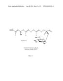 THERAPEUTIC COMPOSITIONS AND METHODS OF TREATMENT WITH CAPSIANOSIDE-TYPE     COMPOUNDS diagram and image