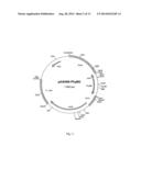 POLYPEPTIDE HAVING PHYTASE ACTIVITY AND INCREASED TEMPERATURE RESISTANCE     OF THE ENZYME ACTIVITY, AND NUCLEOTIDE SEQUENCE CODING SAID POLYPEPTIDE diagram and image