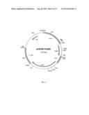 POLYPEPTIDE HAVING PHYTASE ACTIVITY AND INCREASED TEMPERATURE RESISTANCE     OF THE ENZYME ACTIVITY, AND NUCLEOTIDE SEQUENCE CODING SAID POLYPEPTIDE diagram and image