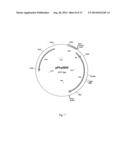 POLYPEPTIDE HAVING PHYTASE ACTIVITY AND INCREASED TEMPERATURE RESISTANCE     OF THE ENZYME ACTIVITY, AND NUCLEOTIDE SEQUENCE CODING SAID POLYPEPTIDE diagram and image