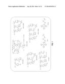 POSITIVE TONE ORGANIC SOLVENT DEVELOPED CHEMICALLY AMPLIFIED RESIST diagram and image