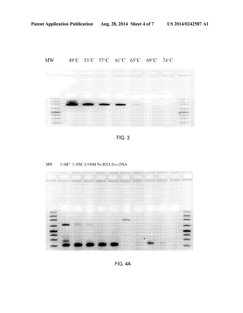 Rapid and Reliable Detection of Infectious Agents - diagram, schematic, and image 05