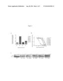 FLT3 MUTATIONS ASSOCIATED WITH DRUG RESISTANCE IN AML PATIENTS HAVING     ACTIVATING MUTATIONS IN FLT3 diagram and image