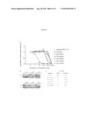 FLT3 MUTATIONS ASSOCIATED WITH DRUG RESISTANCE IN AML PATIENTS HAVING     ACTIVATING MUTATIONS IN FLT3 diagram and image