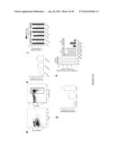 USES OF LABELED HSP90 INHIBITORS diagram and image